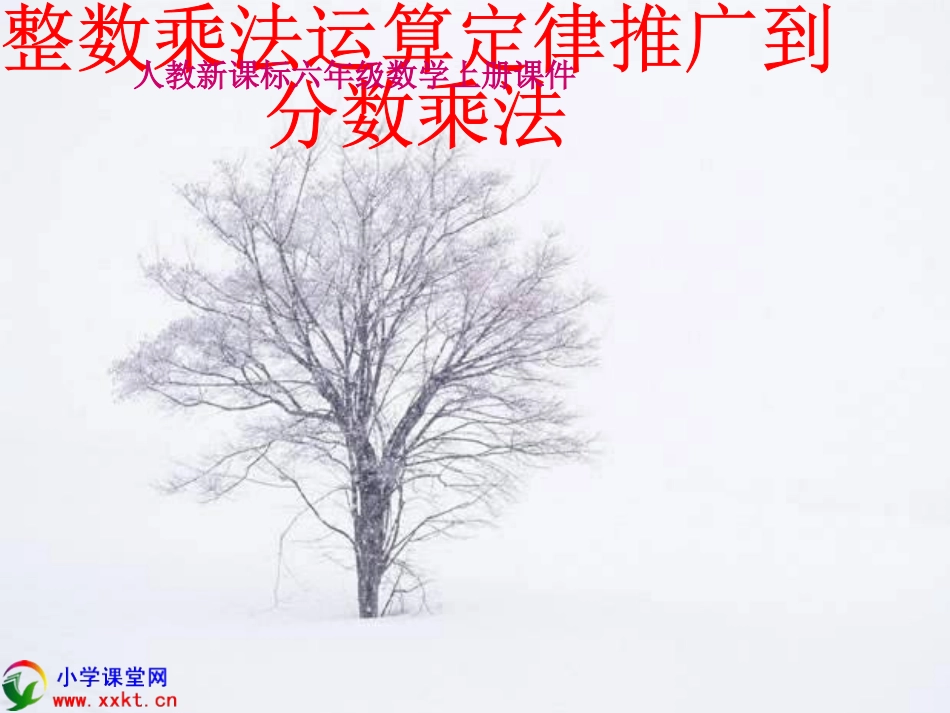 4整数乘法运算定律推广到分数乘法._第1页