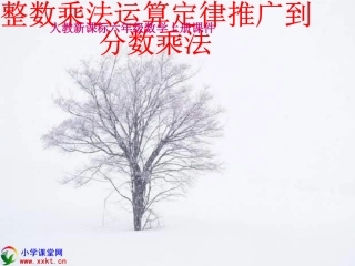 4整数乘法运算定律推广到分数乘法.