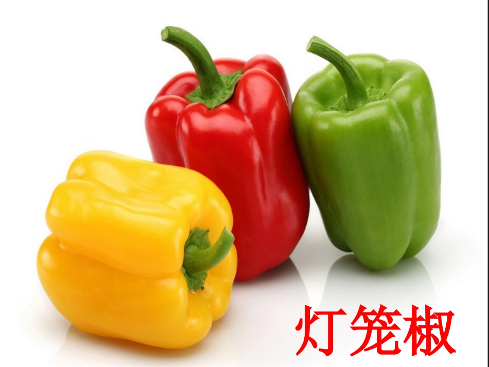 人教2011版小学数学三年级简单的组合_第3页