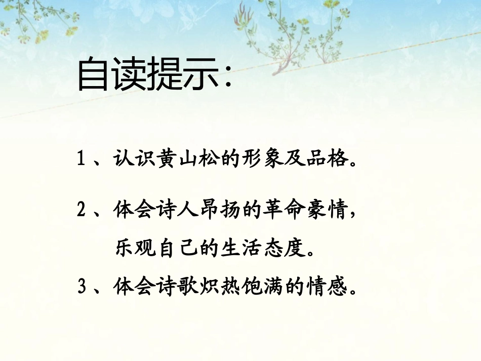 《黄山松》课件2_第2页
