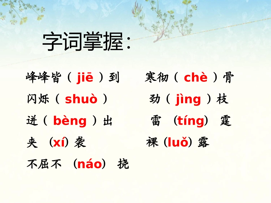 《黄山松》课件2_第3页