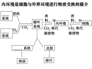 1.2《内环境稳态的重要性》--课件-刘海龙