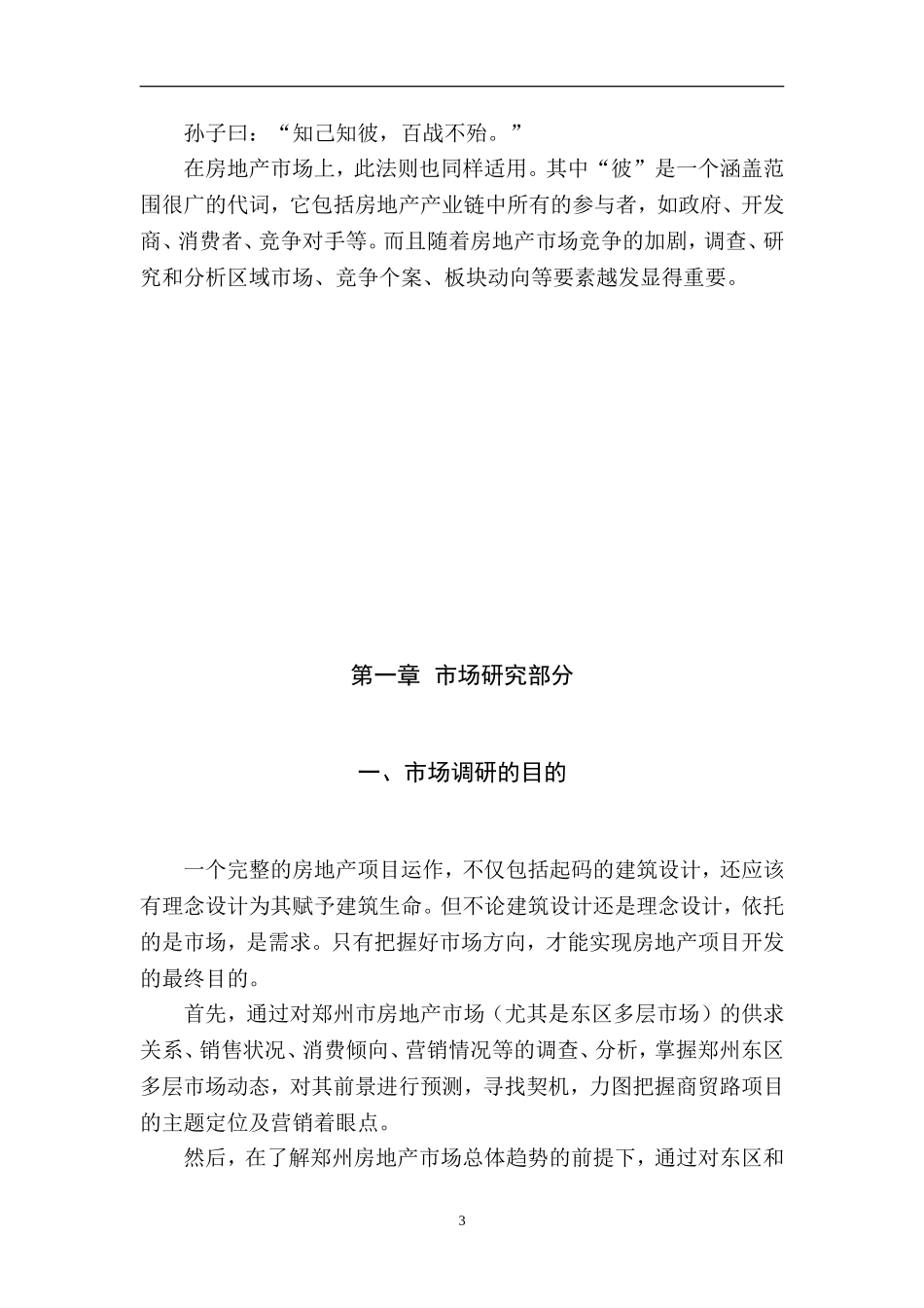 郑州商贸路项目市场调研分析报告定_第3页