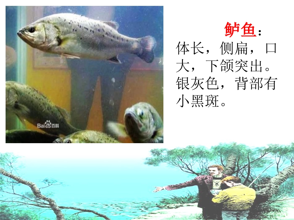 13钓鱼的启示ppt优质课件_第2页