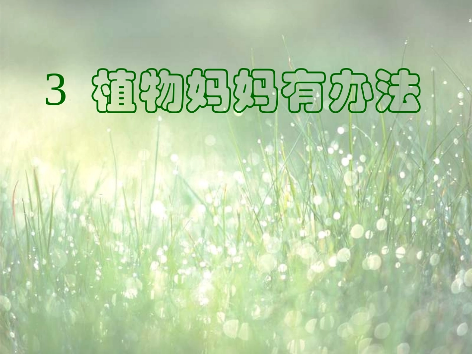 1-3植物妈妈有办法-课件_第1页