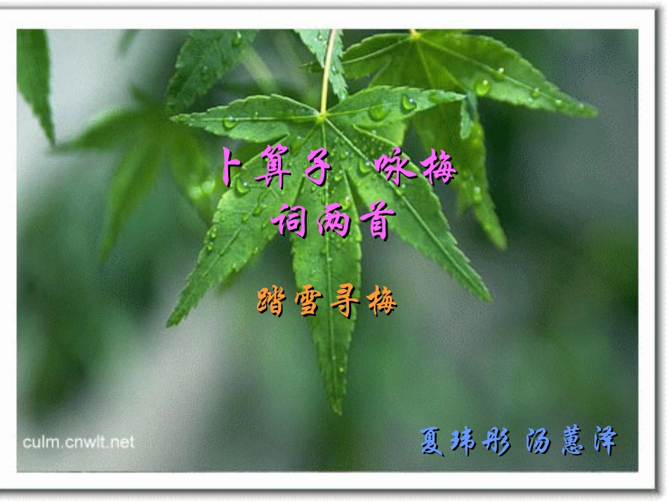 卜算子·咏梅课件2_第1页