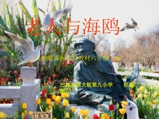 21.老人与海鸥
