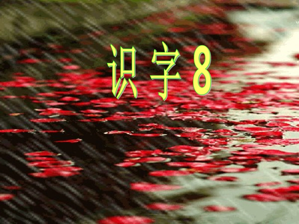 识字8PPT_第2页