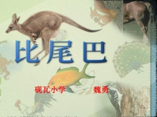一年级语文比尾巴