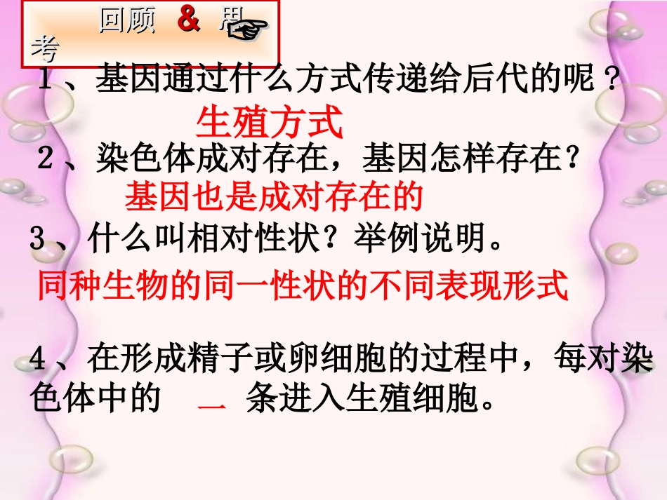 基因的显性和隐性_第2页