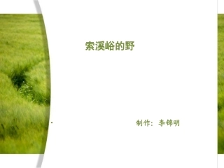 课件《索溪峪的“野”》