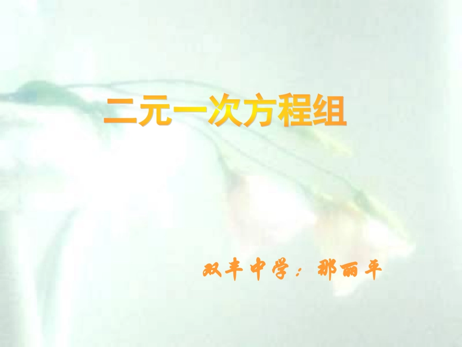 二元一次方程组课件_第1页