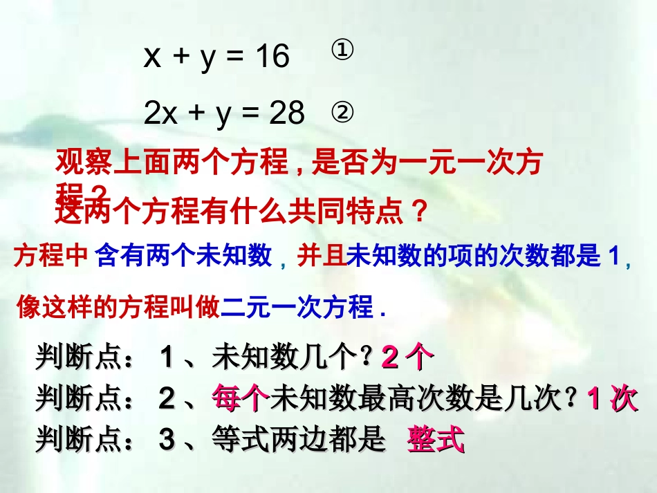 二元一次方程组课件_第3页