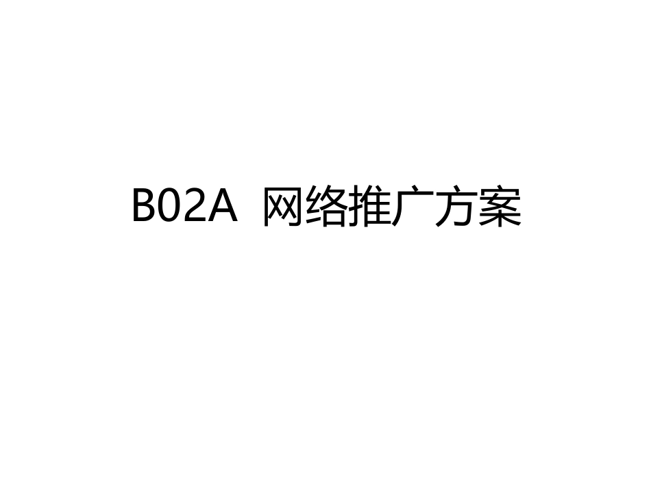 B02A网络推广方案_第1页