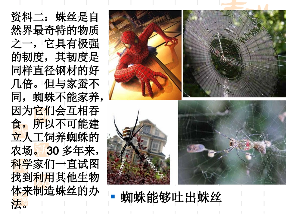 6.2《基因工程及其应用》--课件-管于春_第3页