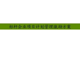 房地产标杆企业项目运营激励方案