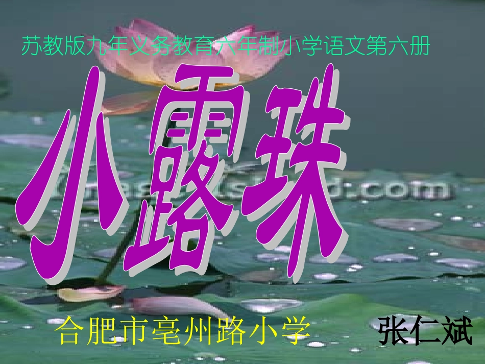 《小露珠》教学课件一_第1页