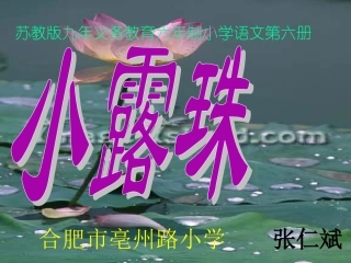 《小露珠》教学课件一