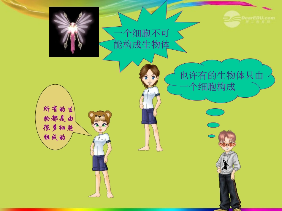七年级生物上册《单细胞生物》课件-新人教版[1]_第2页
