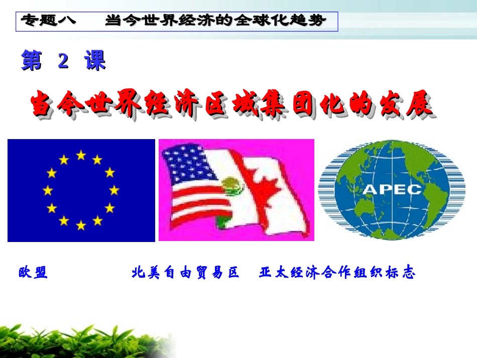第23课世界经济的区域集团化[课件14]2_第3页