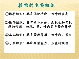 植物的主要组织