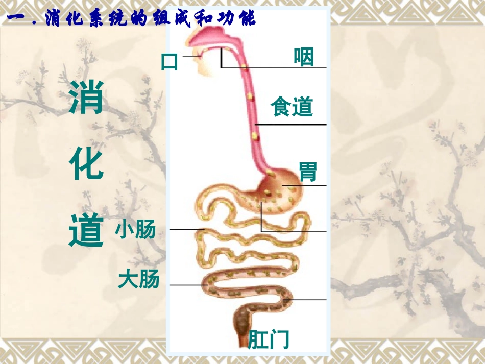 9.4.2.1-第2节-食物的消化与吸收(第1课时)ppt课件_第2页