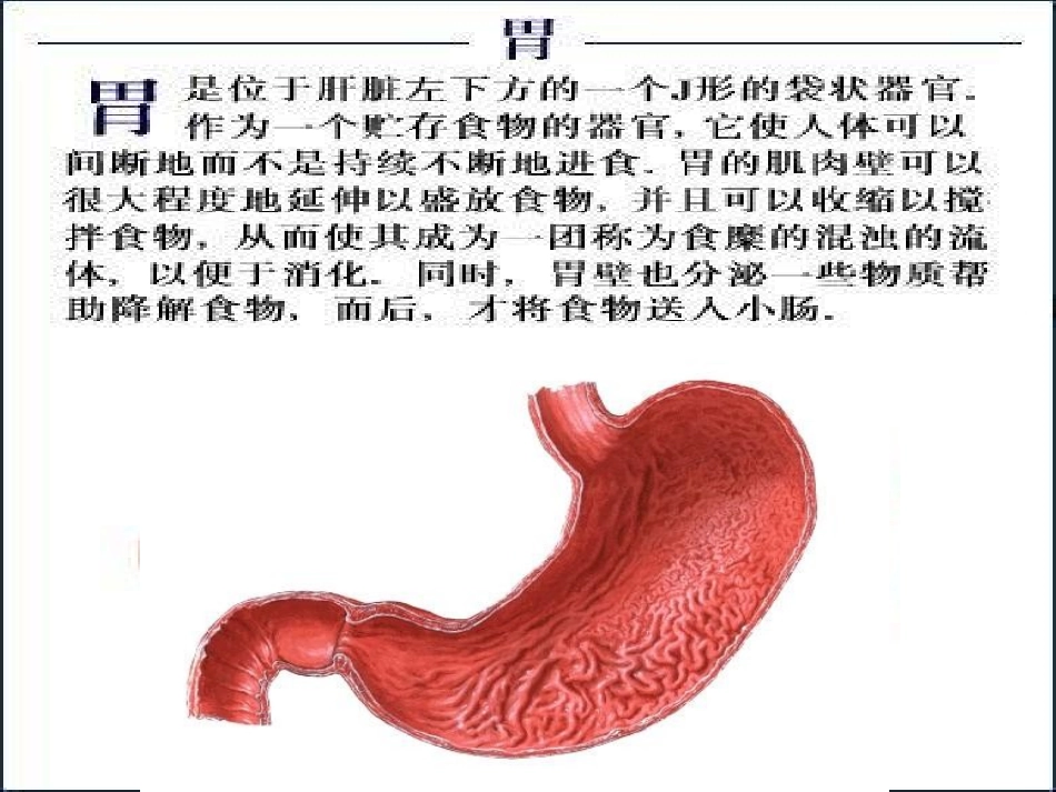 9.4.2.1-第2节-食物的消化与吸收(第1课时)ppt课件_第3页