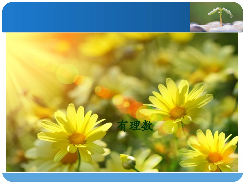 有理数的乘法(湘教版)_第1页