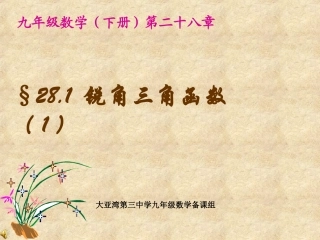 《锐角三角函数1》课件