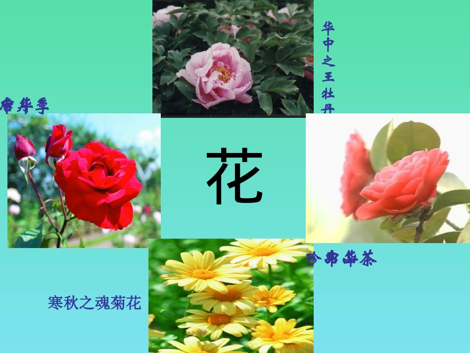第五节-植物的开花和结果(苏教版)_第2页