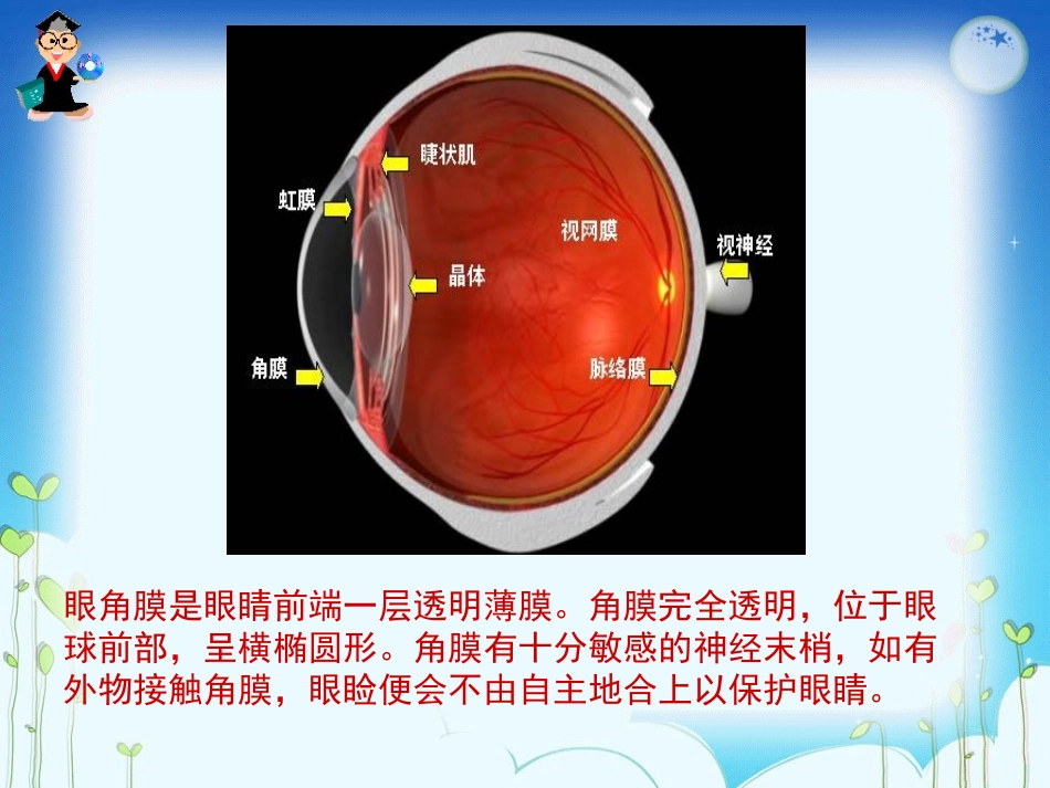 59018.永生的眼睛_第3页