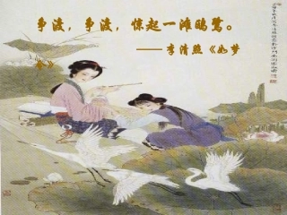 《声声慢》教学