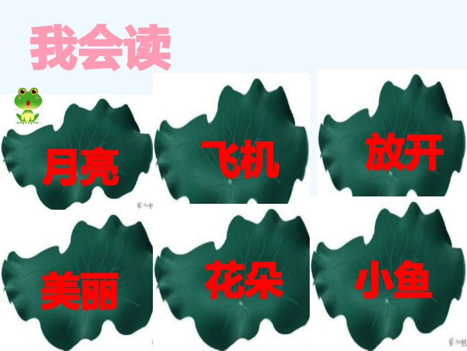 (部编)人教语文2011课标版一年级下册13-荷叶圆圆_第3页