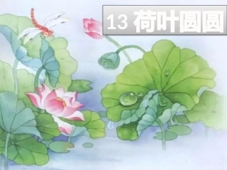 (部编)人教语文2011课标版一年级下册13-荷叶圆圆