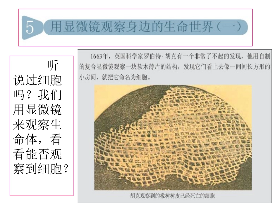 《用显微镜观察身边的生命世界》(一)_第1页