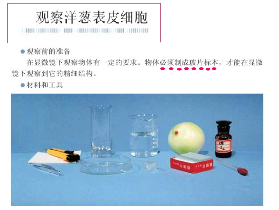 《用显微镜观察身边的生命世界》(一)_第2页