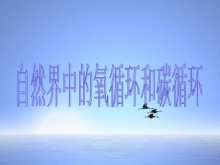 《第7节-自然界中的氧循环和碳循环》课件1