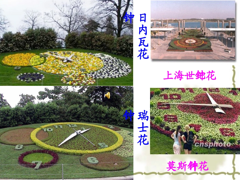 13.花钟课件._第3页