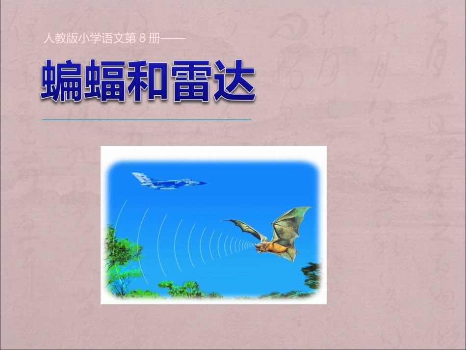 《11.蝙蝠和雷达》PPT课件._第1页