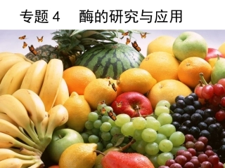 4.1《果胶酶在果汁生产中的作用》--课件-管于春