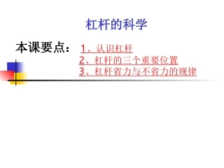 1.2杠杆的科学-胡永刚