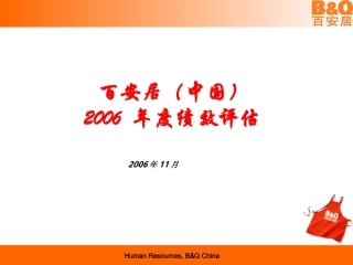 百安居(中国)-2006-年度绩效评估