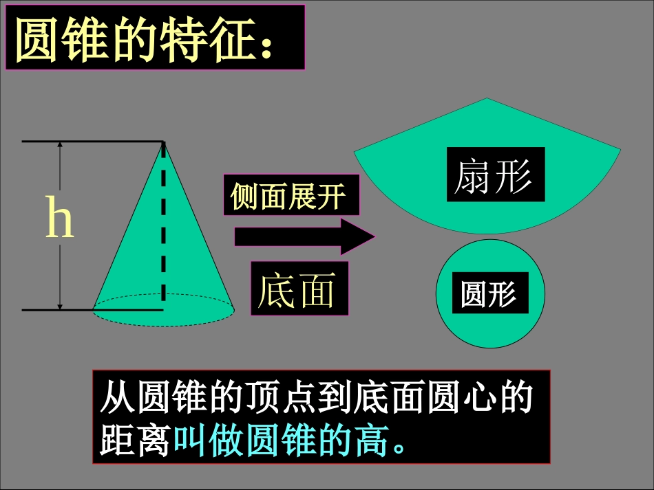圆柱和圆锥的活动课_第3页