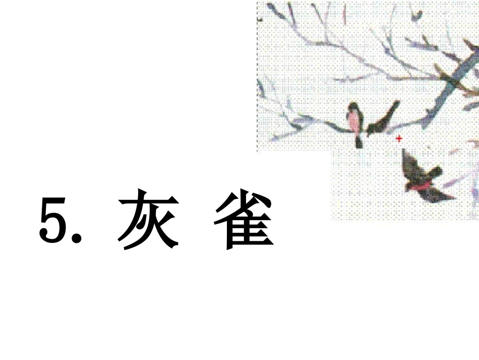 4785-灰雀(第一课时)_第1页