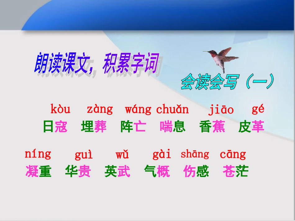 最后一头战象课件_第3页