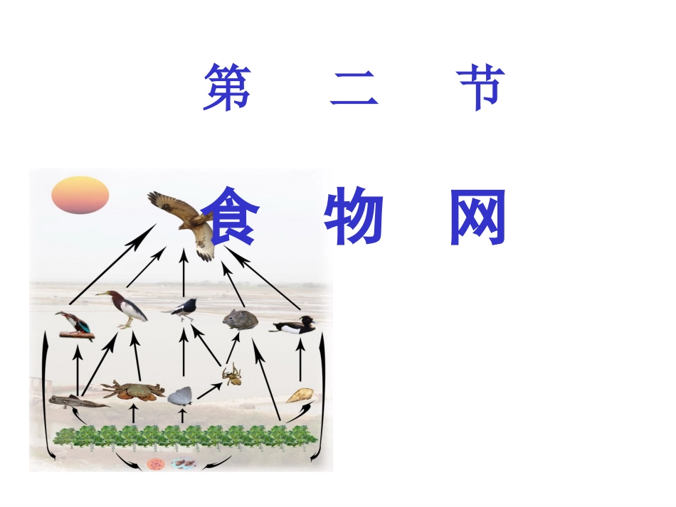 6.2食物网_第1页