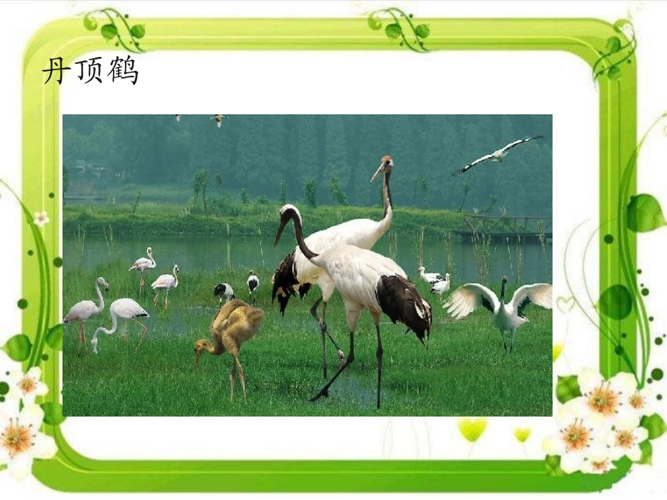 人教2011版小学数学三年级三位数加三位数不连续进位加法-(3)_第3页