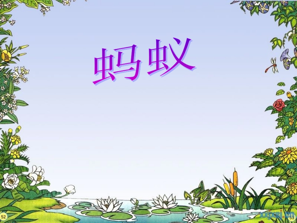 青岛版小学科学三年级下册《蚂蚁》课件1_第1页