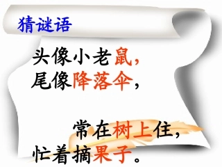 语文一年级下册第10课松鼠和松果