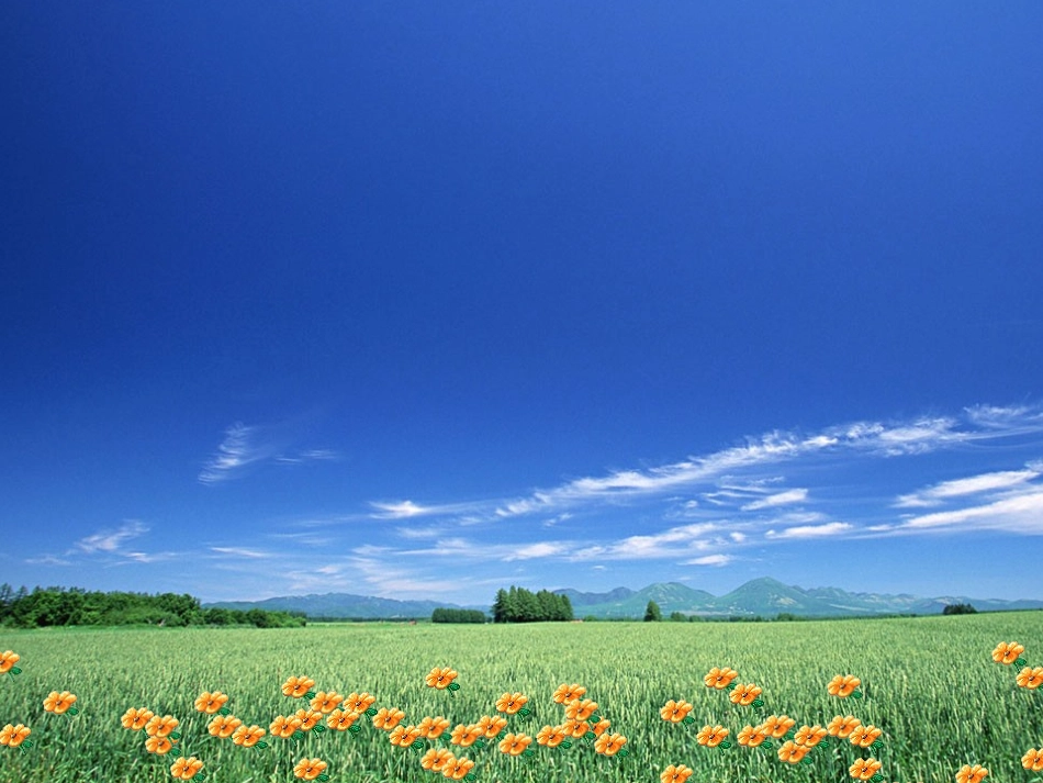 人教版小学数学三年级上册《数学广角》教学课件_第1页
